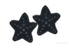Set of 1 Blue Star and 1 White Star Pillows