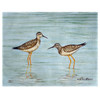 Yellowlegs Place Mats - Set of 2