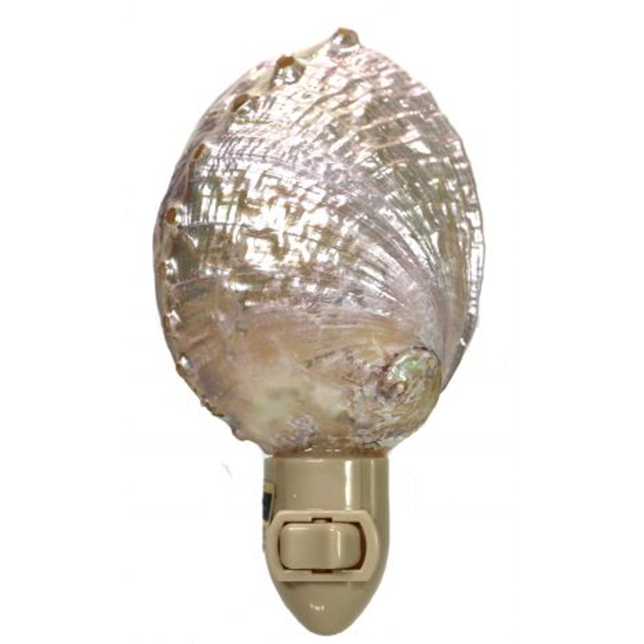 Pearled Abalone Night Light