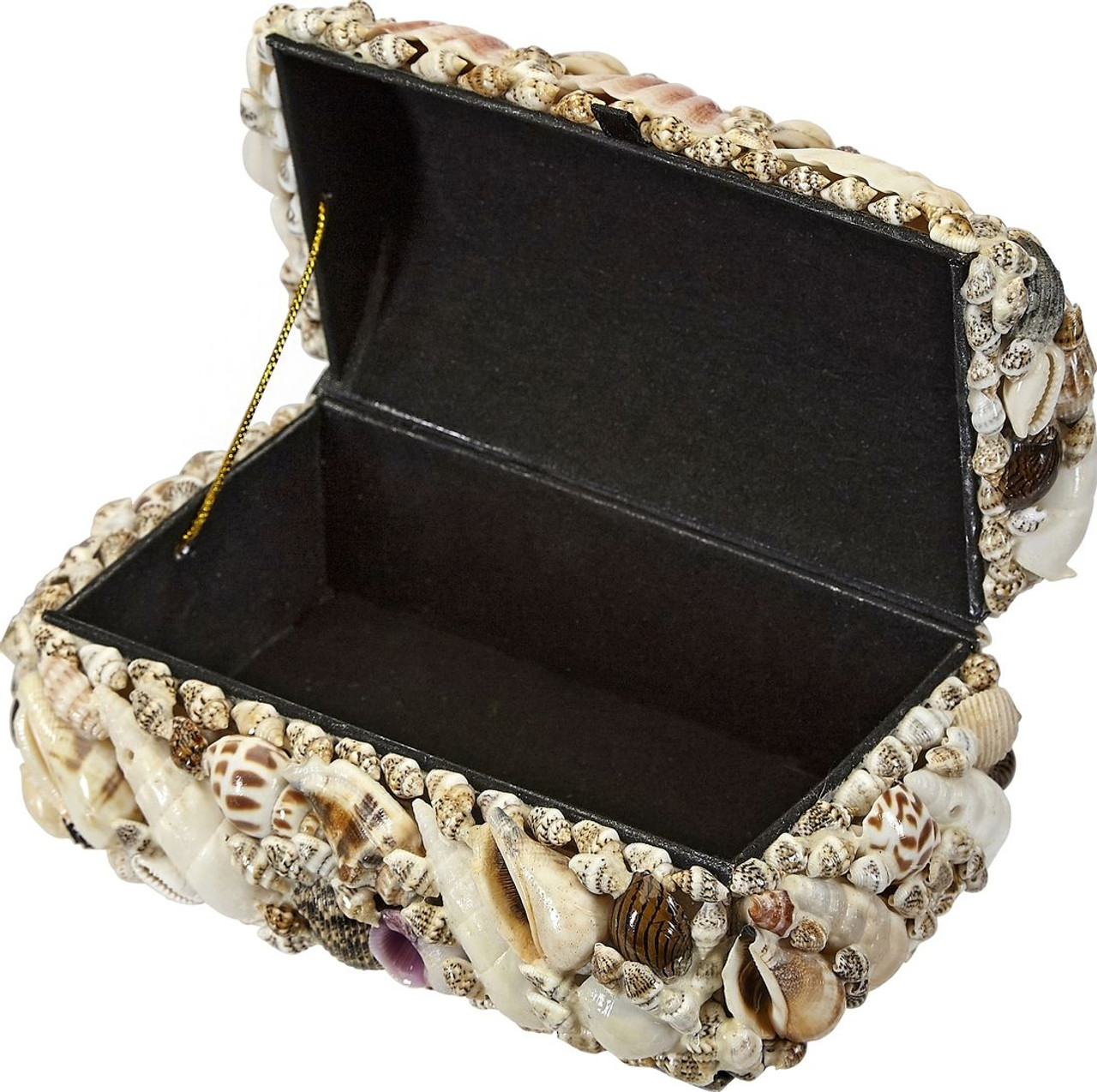 Natural Seashell Treasure Box - 6"