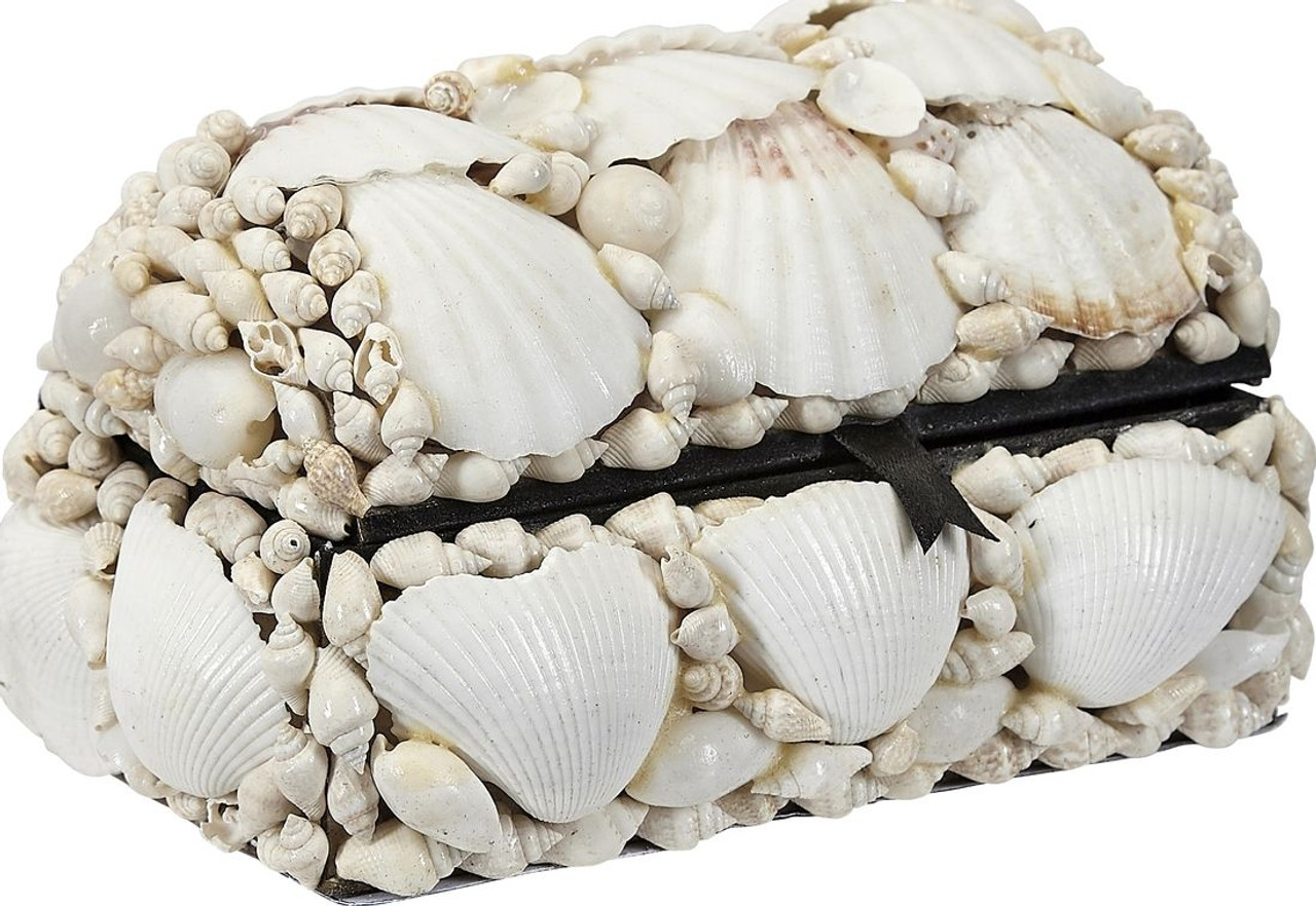 White Seashell Treasure Box - 6"