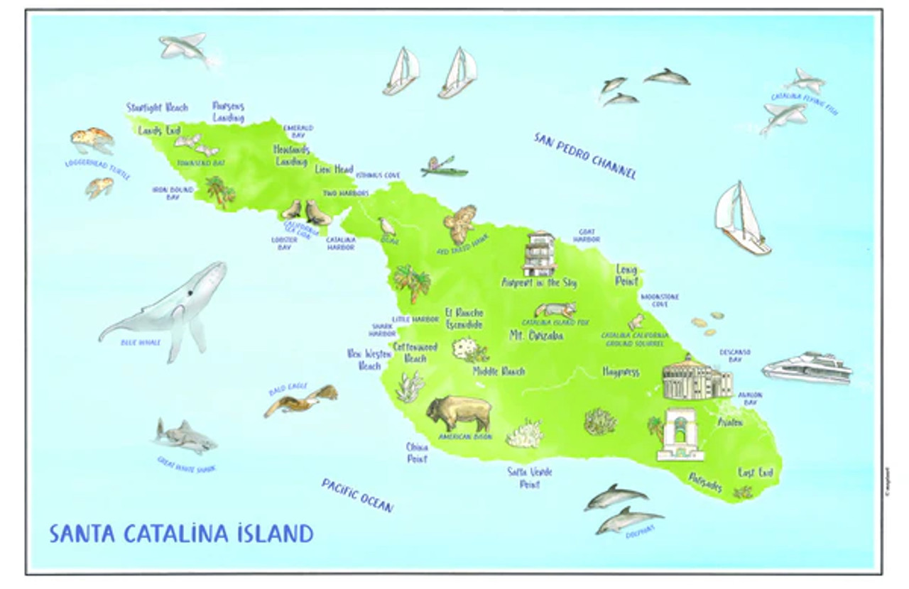 Catalina Island Illustrated Map Placemats - Set of 4