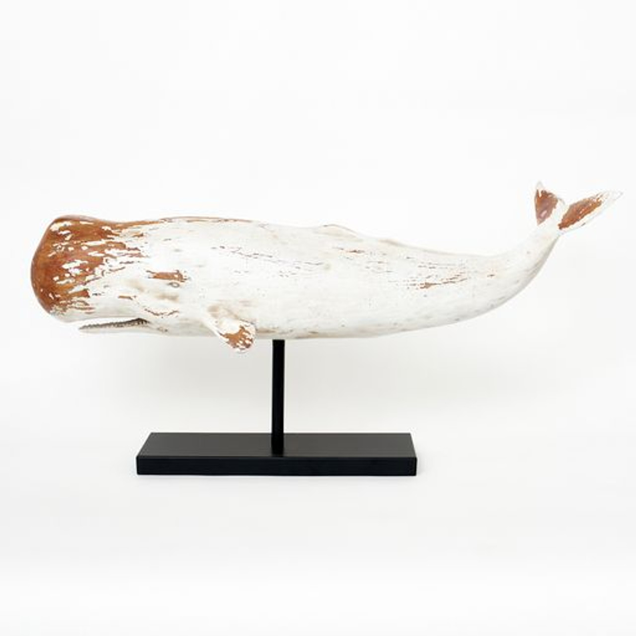 Sperm Whale with Metal Stand- 30.3"