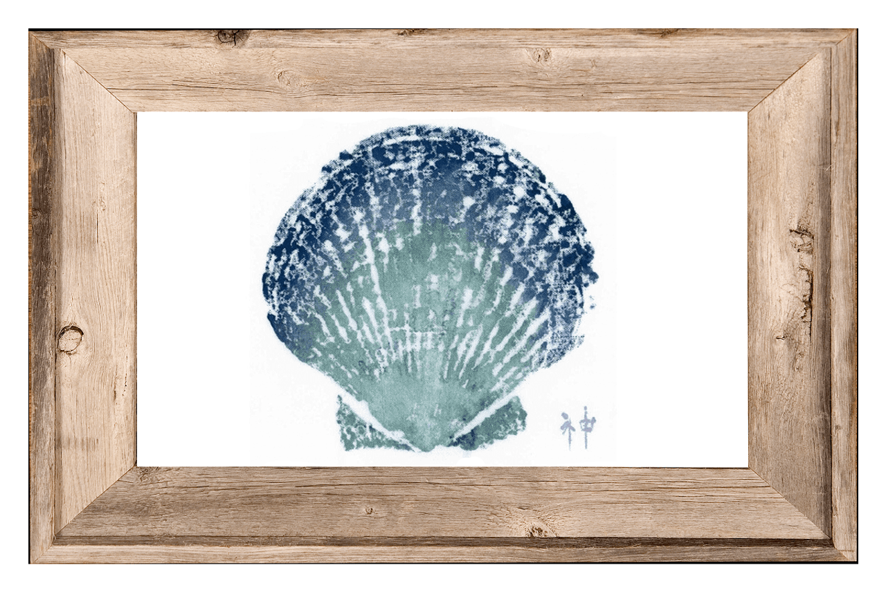 Scallop Shell Print with Frame