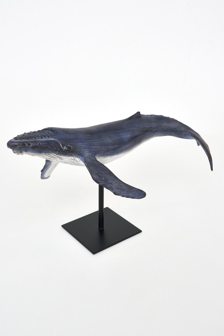 Sperm Whale on Stand- 14