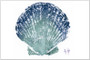 Shell Placemat - MIN of 2
