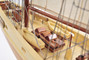Bluenose II - Schooner -  with Optional Personalized Plaque
