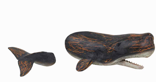 Breaching Whale Wall Decor - 2 Pc.