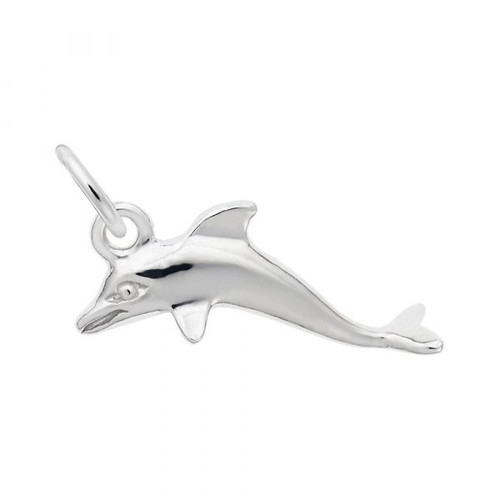 Dolphin Accent Charm - Sterling Silver and 14k White Gold