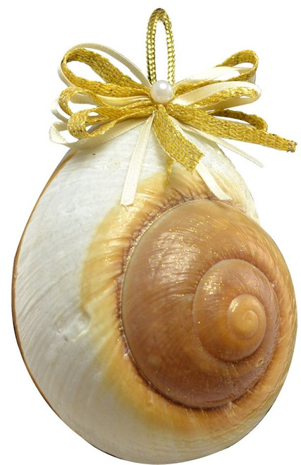 Mountain Land Snail with Gold Bow Ornament - 3"-3.5"