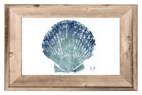 Scallop Shell Print with Frame