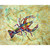 Crayfish Place Mats - Set of 2