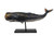 (MR-142) 
Extra Large 30" Sperm Whale Resin Sculpture with Stand (MR-142) 
Extra Large 30" Sperm Whale Resin Sculpture with Stand