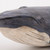 Blue  Whale  - Wood - 20"