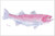 Pink Striper Placemat - MIN of 2
