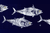 School of Tuna |White on Navy Placemat - MIN of 2