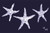 Starfish |White on Navy Placemat - MIN of 2