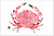 Stone Crab Placemat - MIN of 2