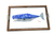 Whale Tray