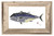 BlueFin Tuna Print with Frame