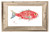 Red Snapper Print with Frame