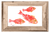 School of Coral Snapper Print with Frame