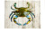 Blue Crab Print - 12" x 18"