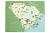 South Carolina Print - 12" x 18"