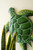 Hand Hammered Recycled Painted Metal Sea Turtle Wall Art