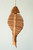 Hanging Wooden Fish Decor