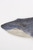 Blue Whale Wall Decor - 28.3"