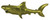  Hanging Shark Full Bodied Gold - 32" Polished Aluminum