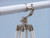 Floor Standing Chrome/White Leather Galileo Telescope 65"
