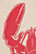 Lobster Buoy-Shaped Doorstop, Cotton, Red/Cream 12"