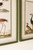  Bird Prints under Glass/Framed -  Set/2 -  21"