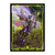 Edge of Eternities 100ct Deck Protector Sleeves in Clear Box Commander B for Magic: The Gathering