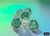 Borealis Polyhedral Kelp/Light Green Luminary 7ct Dice Set