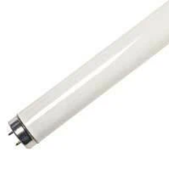 T8 Fluorescent