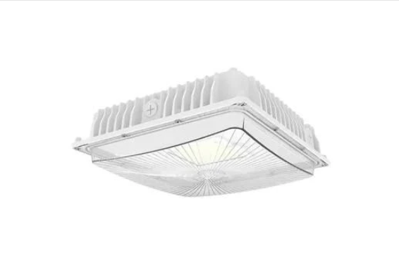 Garage Canopy Lights