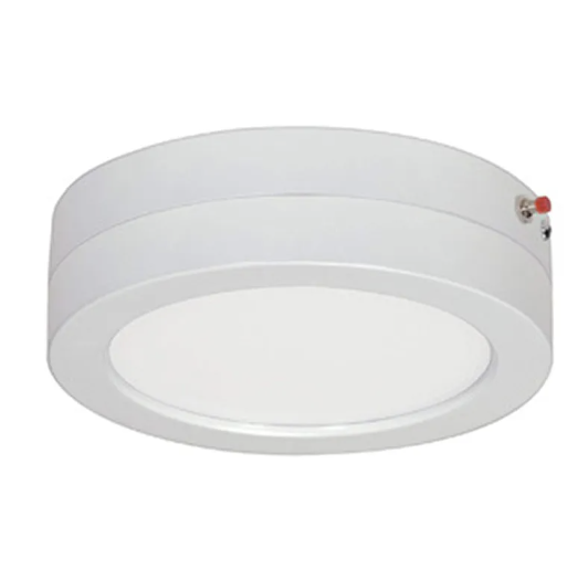 Flush Mounts