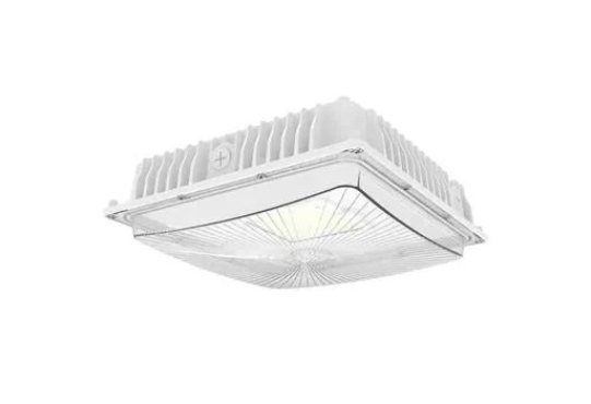 Canopy Lights