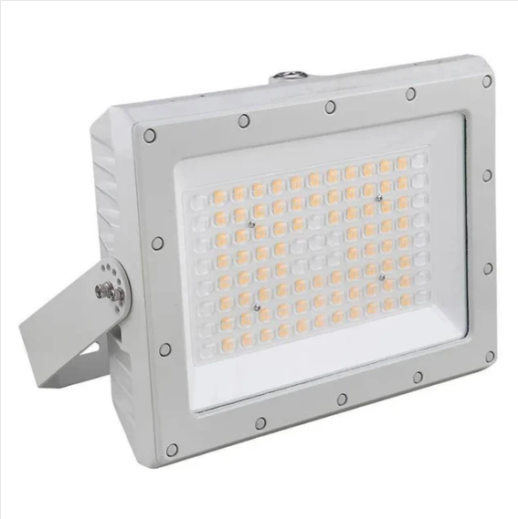 Explosion-Proof Lighting