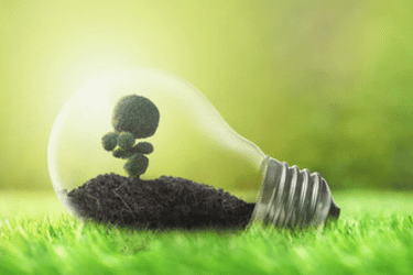 Sustainable Lighting Solutions