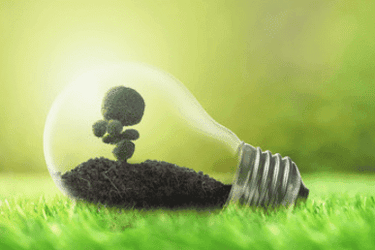 Sustainable Lighting Solutions