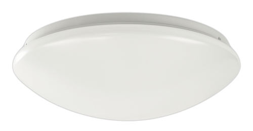 Flush-Mount Cloud Fixture - Ro