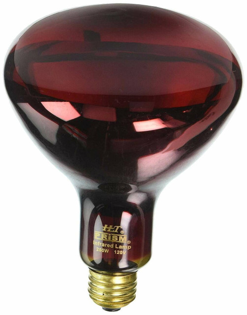 Halco R40RED250/10/CSTF 404071 250W R40 RED 120V Covershield, a red infrared lamp bulb used for industrial heating and drying applications.