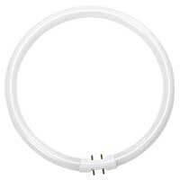 Halco FC22T5/835 109080 FC22 T5 9IN Circline 3500K, empty white circular fluorescent lamp with two contact pins at the ends.