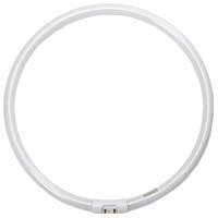 Halco FC40T5/841 109086 FC40 T5 12IN Circline 4100K, circular fluorescent light bulb for commercial and residential lighting.
