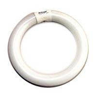 Halco FC9T9/830 37504 30W FC9 T9 9IN Circline 3000K 86CRI PROLUME, image of a white 9-inch circular fluorescent lamp.