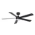 Westgate Manufacturing 52in 5-BLADE DC Ceiling Fan and Light with Remote, 18W, 3000K/3500K/4000K/5000K/6500K, modern black ceiling fan with built-in LED light and remote control for home or office.